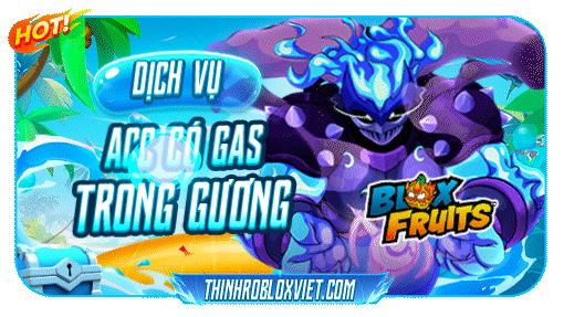 ACC GHM CÓ FRUIT GAS TRONG RƯƠNG | 17k VNĐ